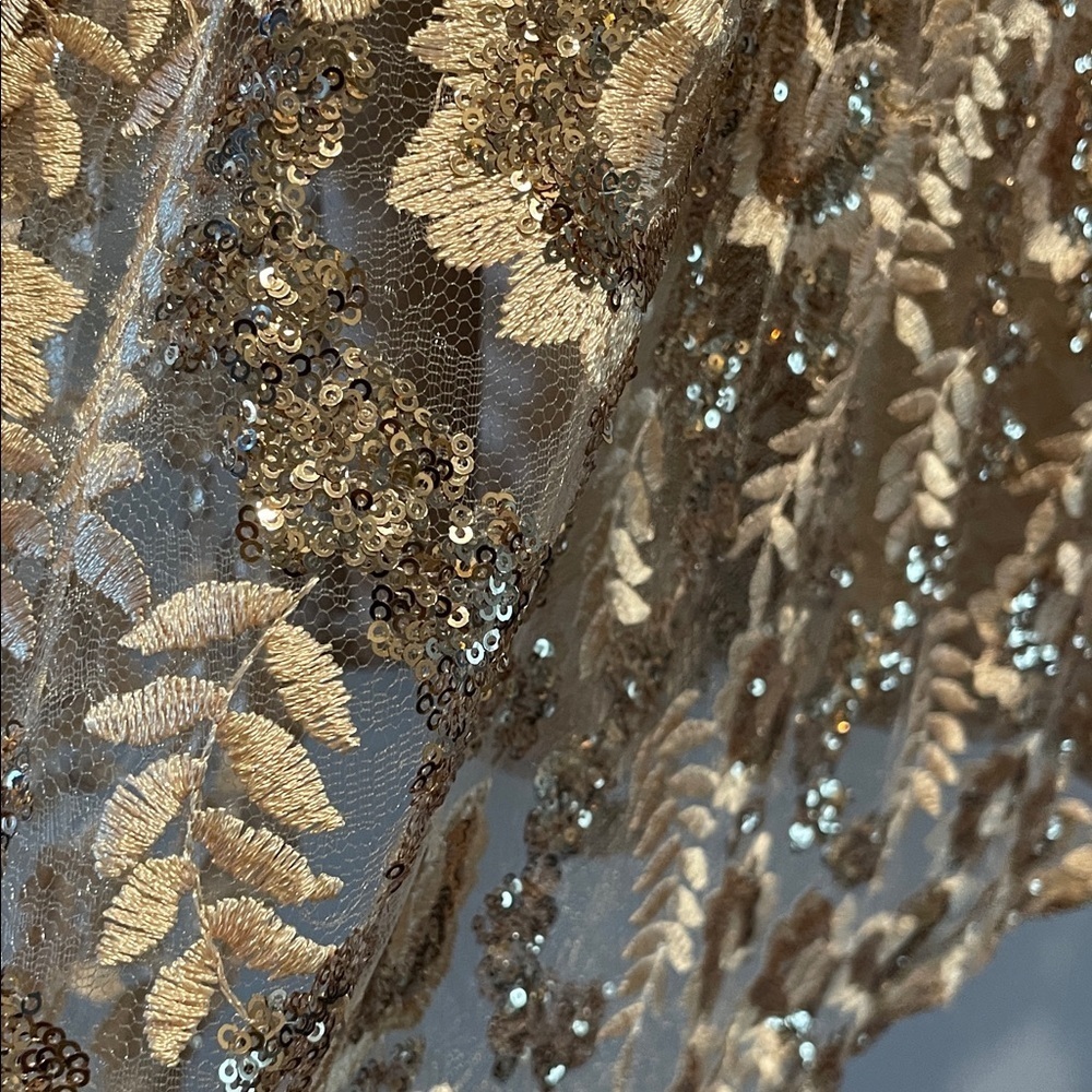 Torrid NWT Gold Embroidered Sequin Formal Dress Beige Floral Midi Dress - Picture 9 of 15